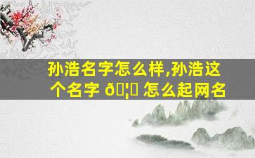 孙浩名字怎么样,孙浩这个名字 🦈 怎么起网名